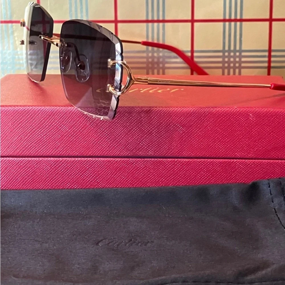 SOLD Cartier Black Big C Unisex Sunglasses - Picture 2 of 4